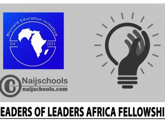 Leaders of Leaders Africa Fellowship 2024