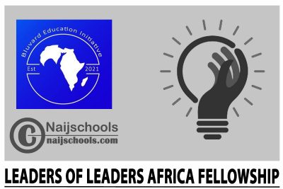Leaders of Leaders Africa Fellowship 2024