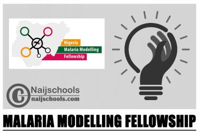 Malaria Modelling Fellowship 2024