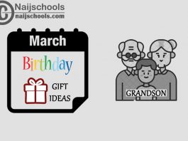 16 March Birthday Gifts to Buy For Your Grandson 2024