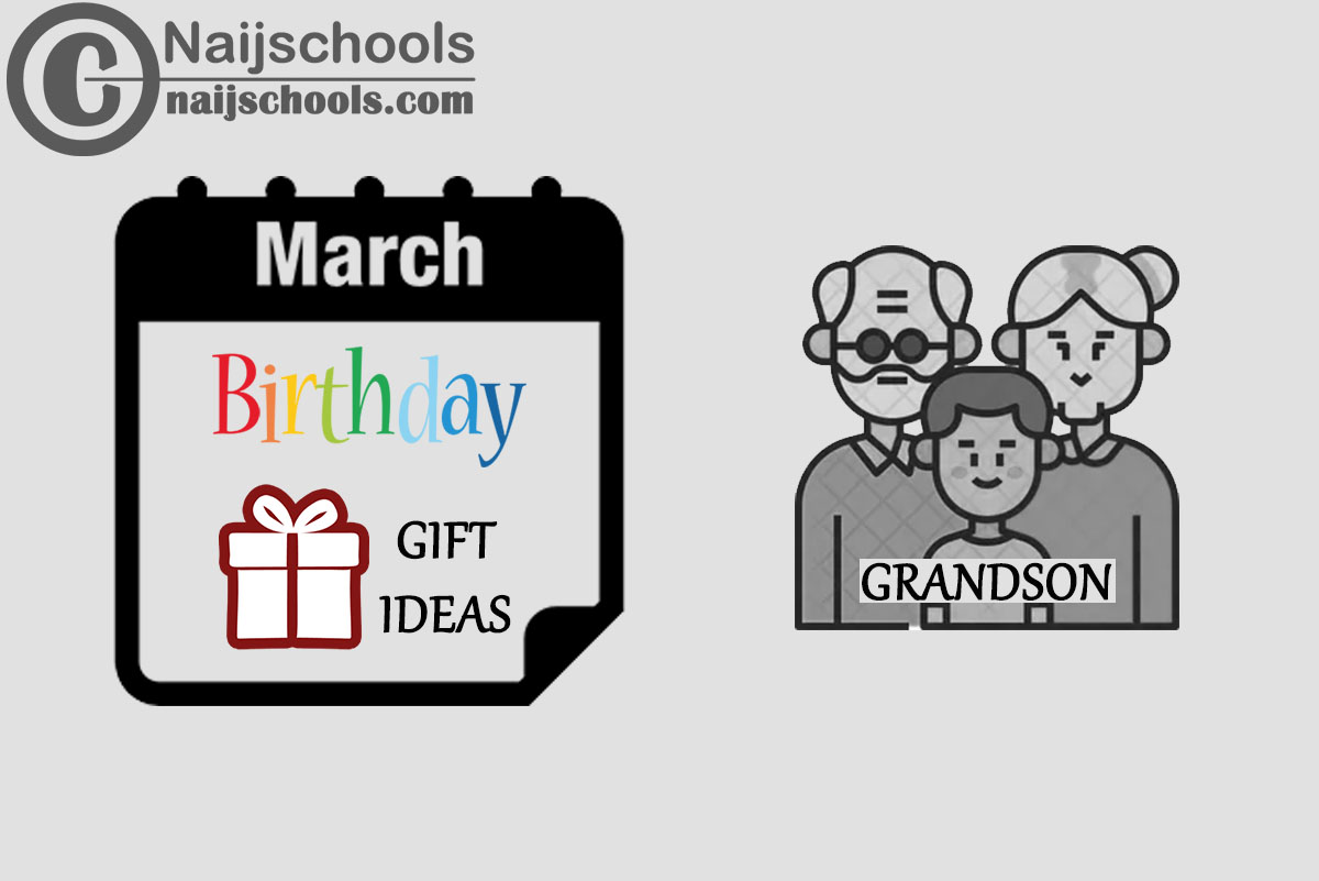 16 March Birthday Gifts to Buy For Your Grandson 2024