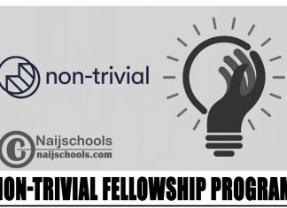 Non-Trivial Fellowship Program 2024