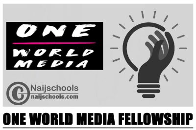 One World Media Fellowship 2024