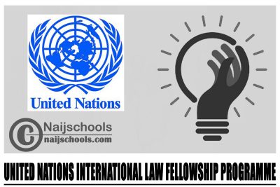 United Nations International Law Fellowship Programme 2024