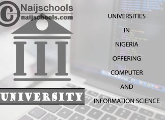 Universities in Nigeria Offering Computer and Information Science