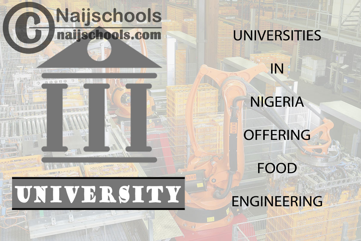 List of Universities in Nigeria Offering Food Engineering