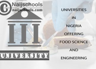Universities in Nigeria Offering Food Science and Engineering