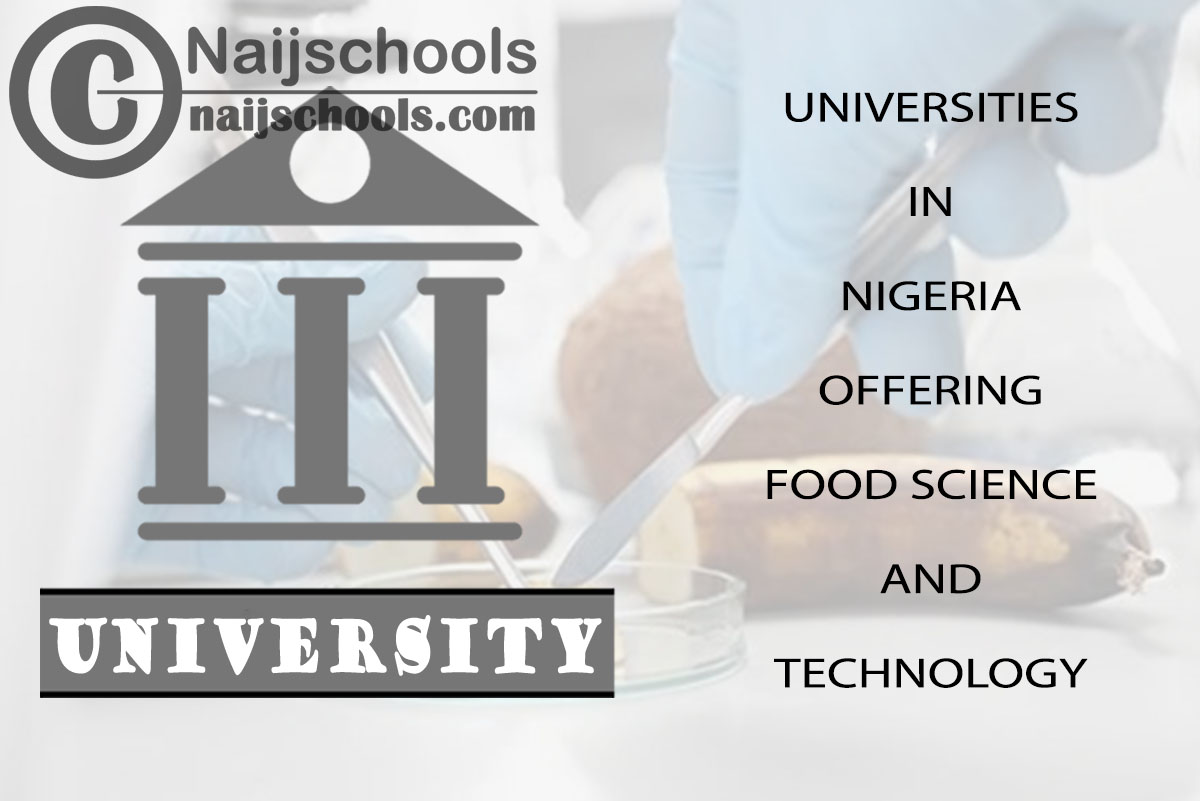 Universities in Nigeria Offering Food Science and Technology