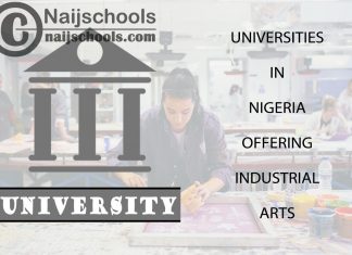 List of Universities in Nigeria Offering Industrial Arts