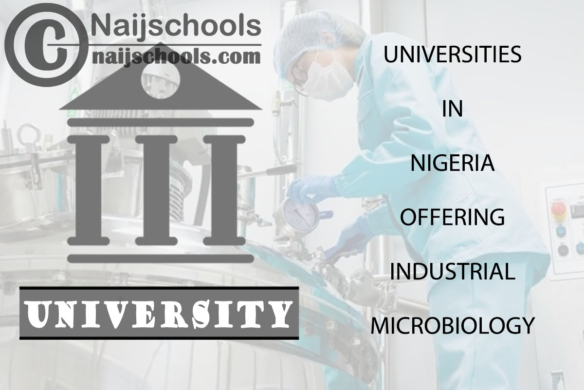 List of Universities in Nigeria Offering Industrial Microbiology 