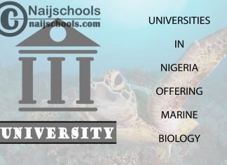 List of Universities in Nigeria Offering Marine Biology