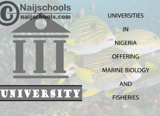 Universities in Nigeria Offering Marine Biology and Fisheries