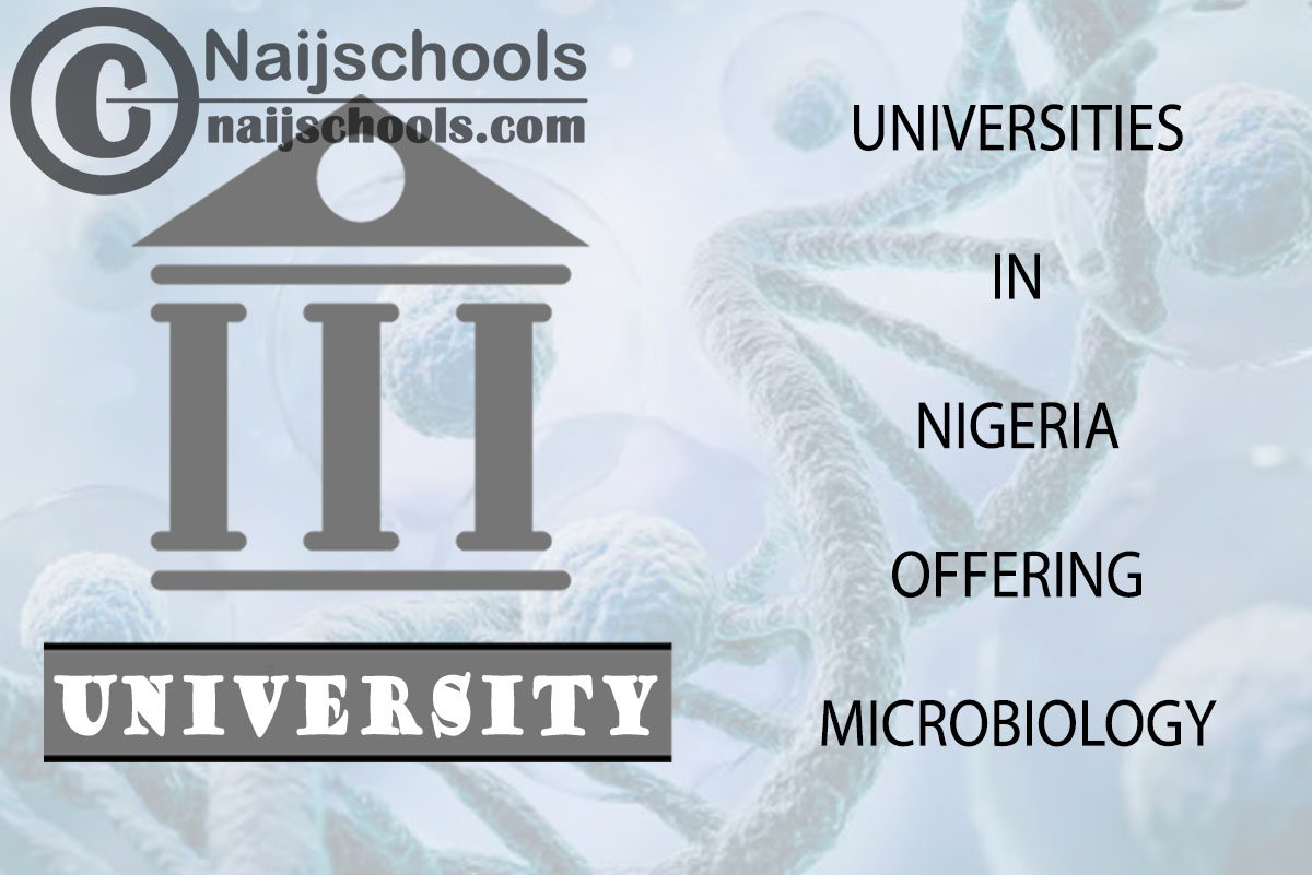 List of Universities in Nigeria Offering Microbiology