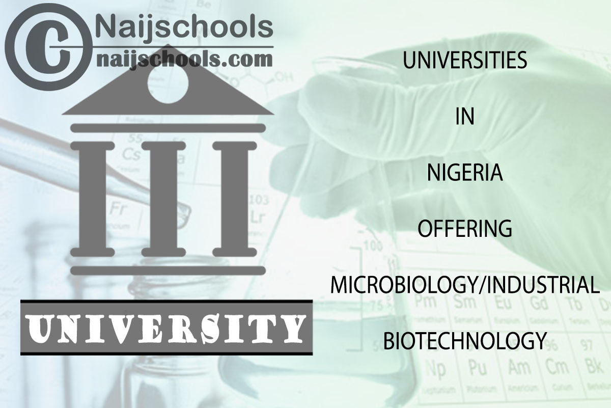 Nigeria Universities Offering Microbiology/Industrial Biotechnology 