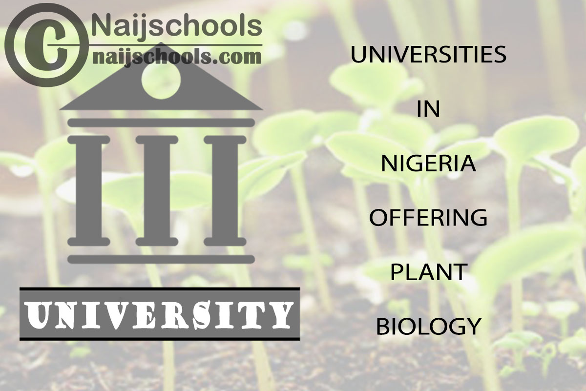 List of Universities in Nigeria Offering Plant Biology
