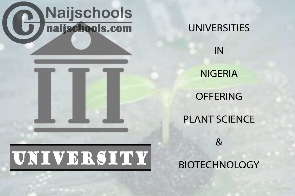 Universities in Nigeria Offering Plant Science & Biotechnology