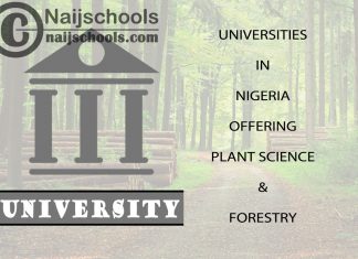 List of Universities in Nigeria Offering Plant Science & Forestry
