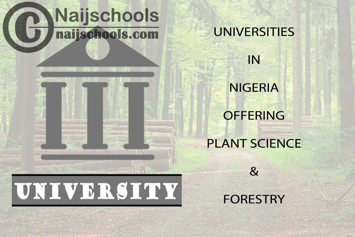 List of Universities in Nigeria Offering Plant Science & Forestry