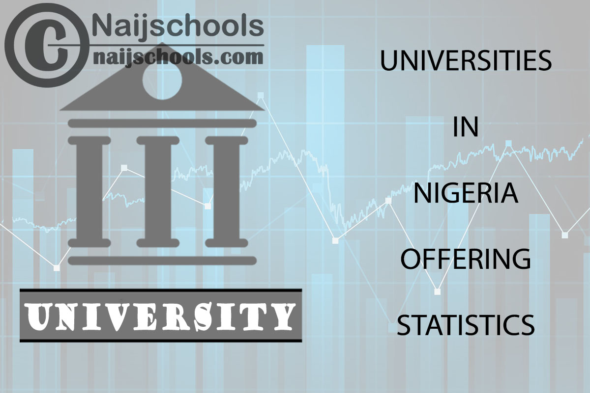 List of Universities in Nigeria Offering Statistics
