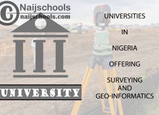 Universities in Nigeria Offering Surveying and Geo-Informatics