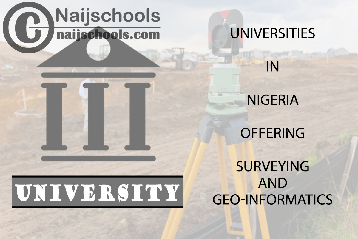 Universities in Nigeria Offering Surveying and Geo-Informatics
