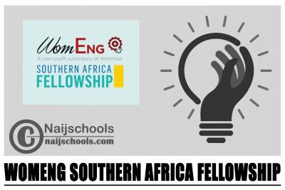 WomEng Southern Africa Fellowship 2024