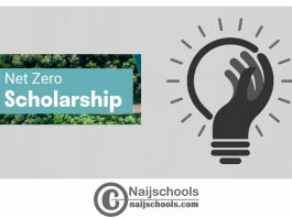 bp Net Zero Scholarship 2024