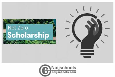 bp Net Zero Scholarship 2024 