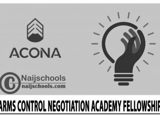 Arms Control Negotiation Academy (ACONA) Fellowship 2024
