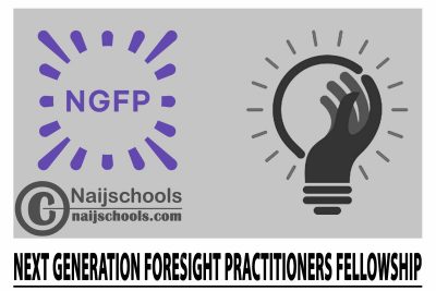 Next Generation Foresight Practitioners (NGFP) Fellowship 2024