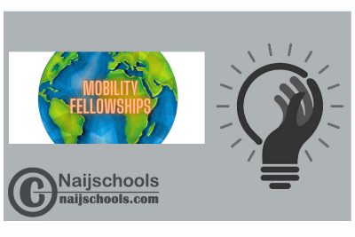 PAGES International Mobility Research Fellowship Program 2024