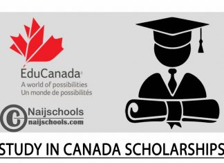 EduCanada Study in Canada Scholarships 2024/2025 ($33,100)