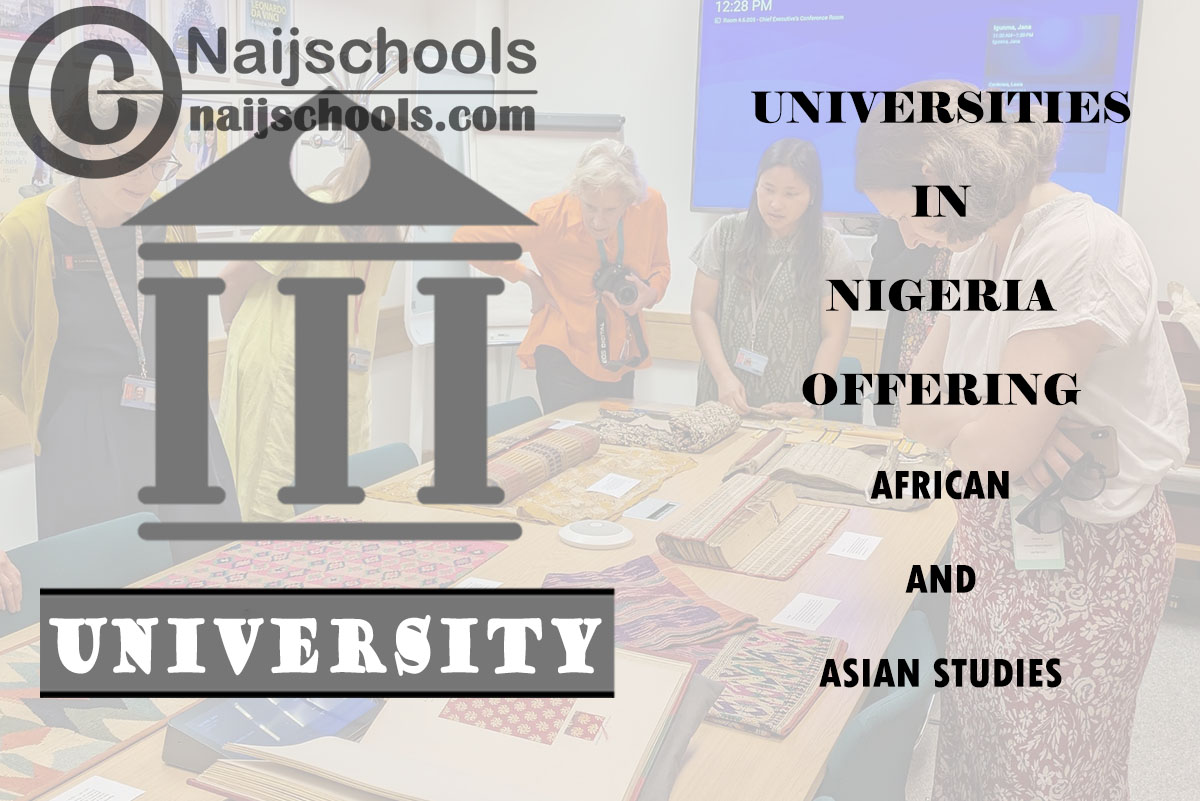 Universities in Nigeria Offering African and Asian Studies