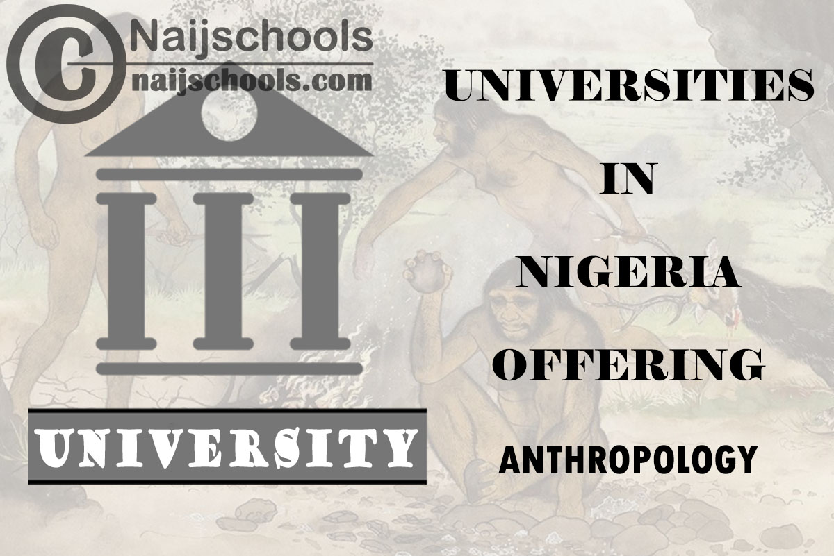 List of Universities in Nigeria Offering Anthropology