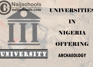List of Universities in Nigeria Offering Archaeology