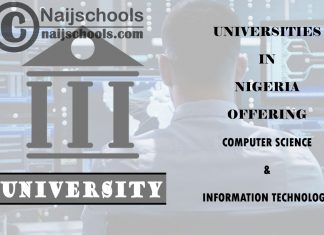 Universities Offering Computer Science & Information Technology Universities Offering Computer Science & Information Technology