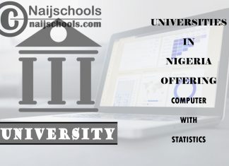 Universities in Nigeria Offering Computer with Statistics