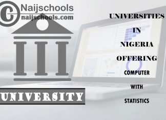 Universities in Nigeria Offering Computer with Statistics Universities in Nigeria Offering Computer with Statistics
