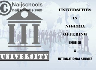 Universities in Nigeria Offering English & International Studies
