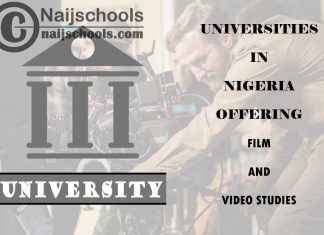 List of Universities in Nigeria Offering Film & Video Studies