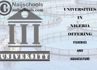 Universities in Nigeria Offering Fisheries and Aquaculture