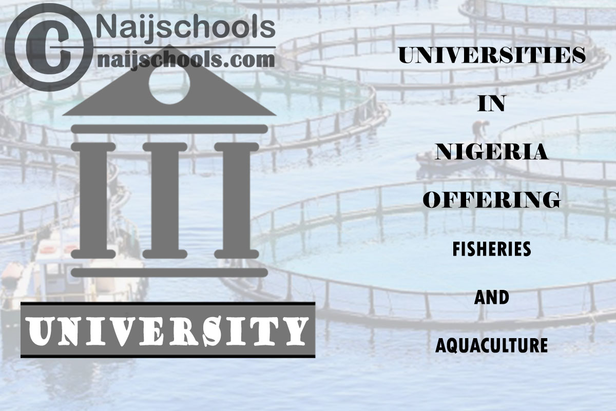 Universities in Nigeria Offering Fisheries and Aquaculture 