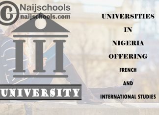 Universities in Nigeria Offering French and International Studies