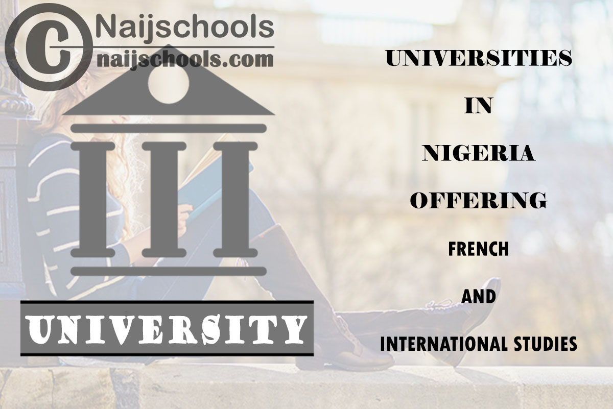 Universities in Nigeria Offering French and International Studies