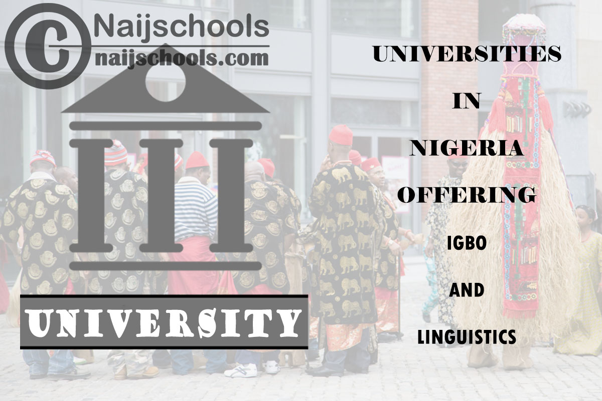 List of Universities in Nigeria Offering Igbo and Linguistics