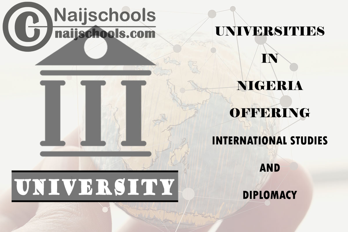 Universities in Nigeria Offering International Studies and Diplomacy