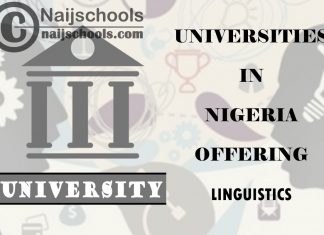 List of Universities in Nigeria Offering Linguistics