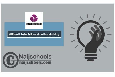 William P. Fuller Fellowship in Peacebuilding 2024