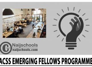 ACSS Emerging Fellows Programme 2024