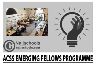 ACSS Emerging Fellows Programme 2024